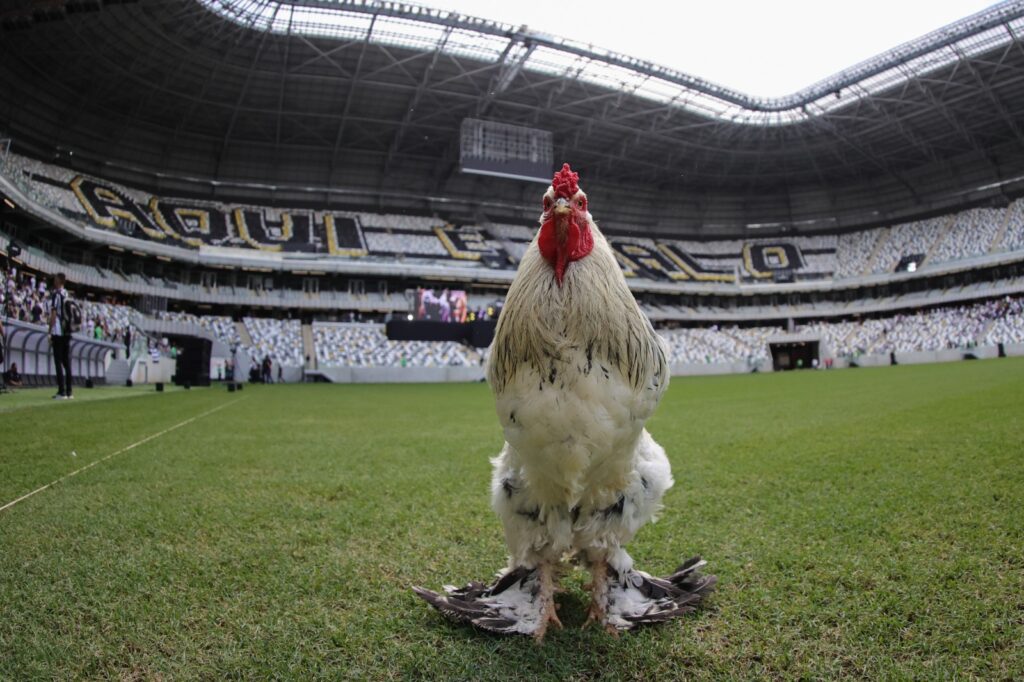 Saudações Alvinegras! Para você, - Clube Atlético Mineiro